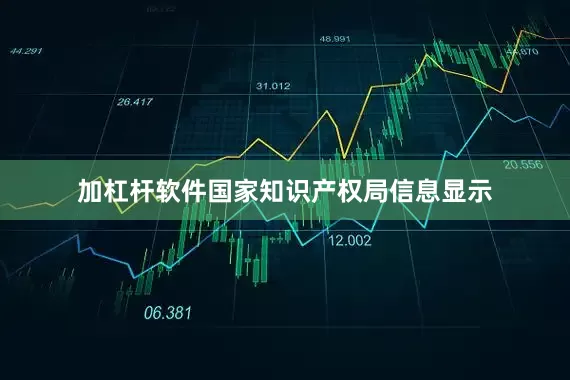 加杠杆软件国家知识产权局信息显示