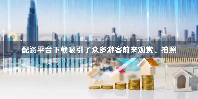 配资平台下载吸引了众多游客前来观赏、拍照